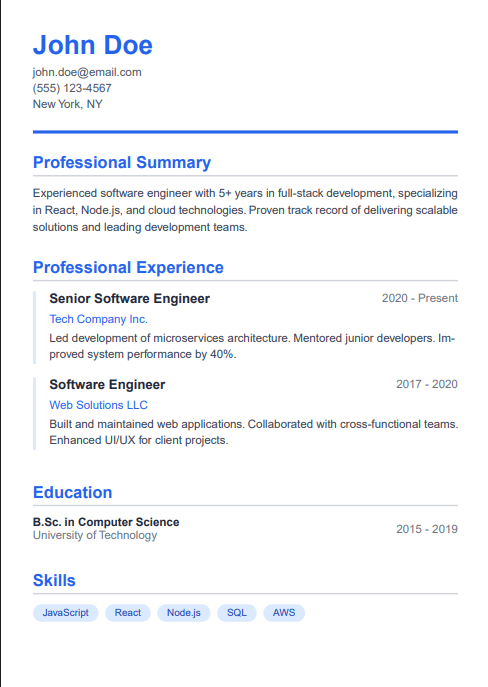 Professional Resume Template 1